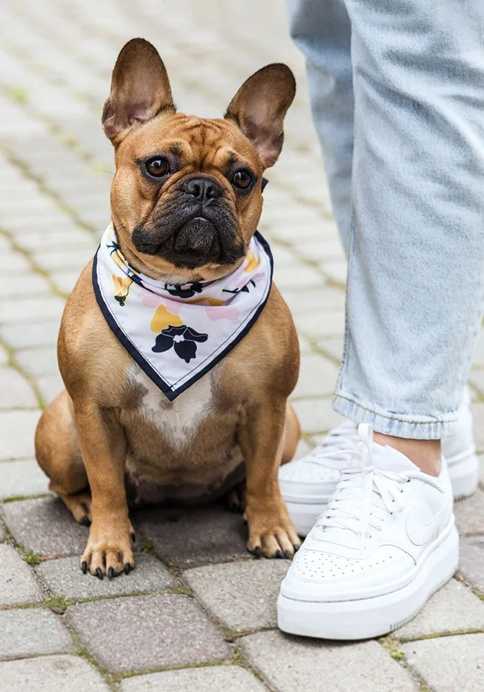 Bandana met all-over print